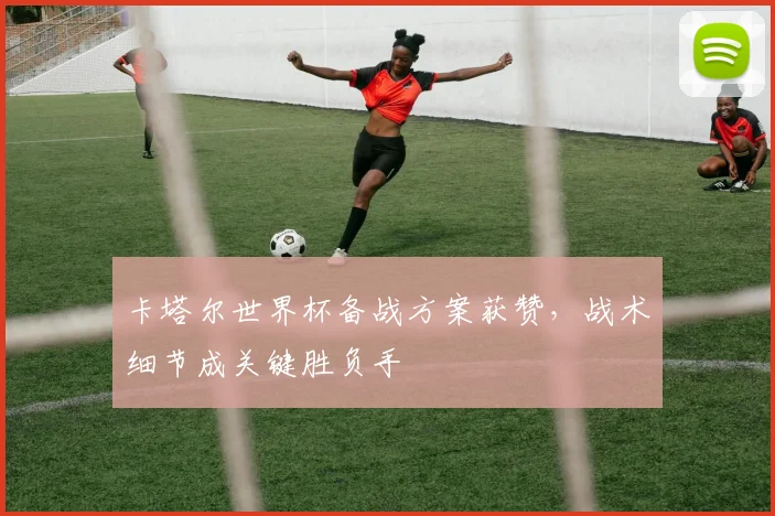 卡塔尔世界杯备战方案获赞,战术细节成关键胜负手