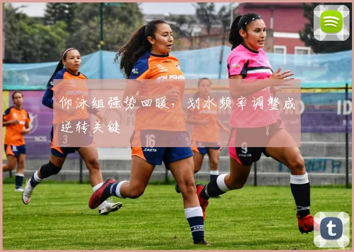 仰泳组强势回暖，划水频率调整成逆转关键