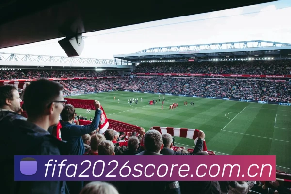 2026世界杯 App 多端展示图
